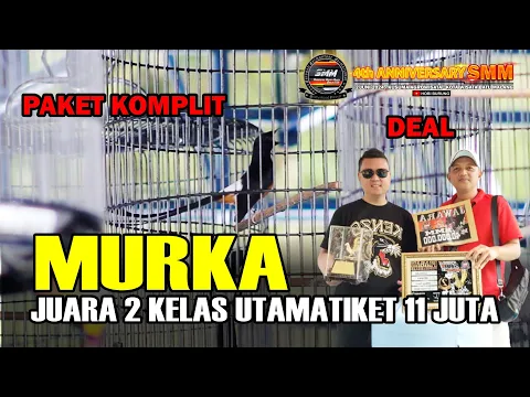 Download MP3 PAKET KOMPLIT🔥 Murai Batu MURKA Juara 2 Kelas Utama Tiket 11Juta🔥 4th Anniversary SMM