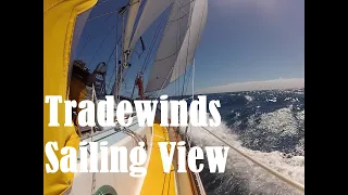 Trade Winds Sailing View