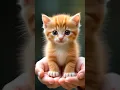 Download Lagu goat is speaking mau mau #cute #ytshorts #shorts #trending #funny #goat #cat #pets #duck ##animals