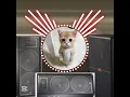 Download Lagu #remix #musicgenre dj manis