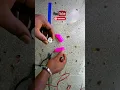 Download Lagu Pink bullet vibrator misaligned power pin #repair #xyzbca #diy #xyzcba #dothis #battery #electronics