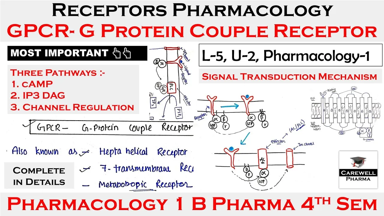 GPCR || G Protein Couple Receptors || cAMP, IP3-DAG, Channel || L-5 U-2 || Pharmacology 4th Semester