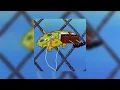 Download Lagu Made in Romania - Ionut Cercel (Sped up)
