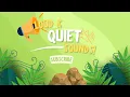 Loud and Quiet Sounds Educational for Kids Learn About Sounds by JollyJube