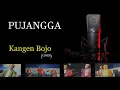 Download Lagu Kangen Bojo (cover) - PUJANGGA cek sound glerr