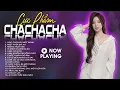 Download Lagu Lk Cha Cha Rumba Nhạc Trẻ Top Hit Hay Nhất 2025 - Dối Lòng - Lk Cha Cha Nhạc Hay
