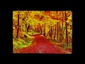 Download Lagu سنفونية الخريف - شوبان -Chopin - Mariage D'amour