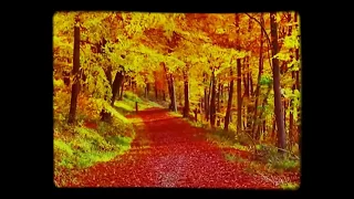 سنفونية الخريف شوبان Chopin Mariage D Amour 