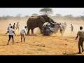 Download Lagu Safari Trips Went Horribly Wrong