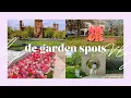 Free Garden Spots in Washington DC Spring DC Vlog