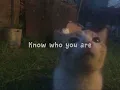 Know Who You Are Cover from Moana