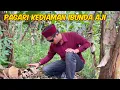 Download Lagu RADEN SAKA LAMPUNG 👳🏼PAGARI RUMAH IBUNYA AJI SEBELUM PULANG KAMPUNG ‼️