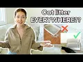 How to Prevent Litter Tracking - Life Changing Tips