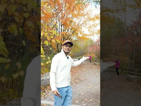 কি অপূর্ব লাগছে কানাডার শরতের প্রকৃতি!