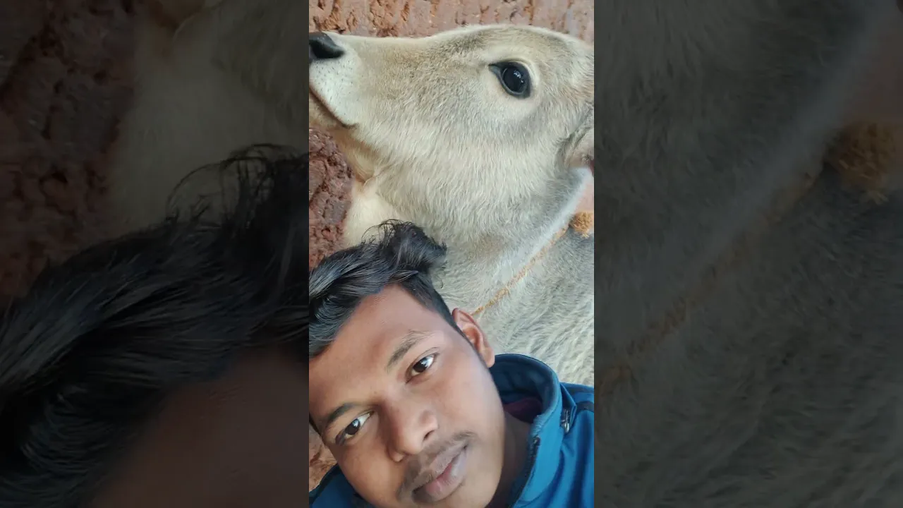 VID 20211223 162506