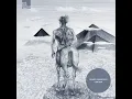 Secret Cinema, Reinier Zonneveld - Extreem (Original Mix)