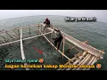Download Lagu Seraam!! mancing kakap putih besar diluar perkiraan saya 🥵