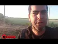 PRODUÇÃO DE FENO NA ROÇA PROJETO JAIBA NORTE DE MINAS