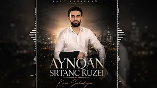 Karo Sahakyan - Aynqan Srtanc Kuzeyi
