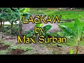 LAGKAW   by: Max Surban/Lyrics