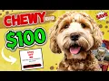 How I FOUND A Chewy Promo Code For My Last Order - How To Get A Chewy Discount Code In 2022