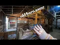 asmr around an old barn \u0026 dry lot 🐴 lots of textures