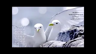 إذا كنت في نعمة فارعها اداء فى قمة الروعة والجمال الشيخ مشارى راشد  إذا كنت في نعمة فارعها اداء فى قمة الروعة والجمال الشيخ مشارى راشد