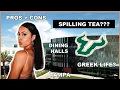 EVERYTHING YOU NEED TO KNOW ABOUT USF University of South Florida