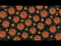 Feid - 50 Palos (Visualizer)