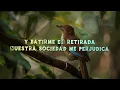 Babasónicos - Cómo Eran las Cosas (En Vivo)(Lyrics/Letra)