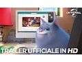 Video di Pets – Vita da Animali – Video Buone Feste