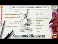 Microscope Diagram How to Draw Compound Microscope Step by Step Easy