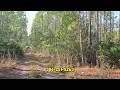 Own 2 5 Acres in Palatka Florida - Owner Financing Available