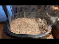 The Best Homemade DIY Incontinent Dog Bed How to care for a dog that urinates while