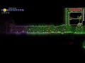 SECRET way to get Jungle Grass Seeds that you can use today to grow tons of Grass on Mud in Terraria