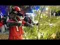 Stony Brook University 2025 Light the Brook Celebration
