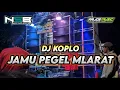 Download Lagu DJ JAMU PEGEL MLARAT FULL BASS free flm ?