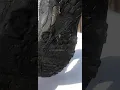 St John s Bay shoes are ripping apart