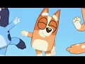 The Bluey Opening but its zoomed in a Bingo the whole time
