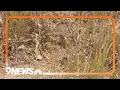 Wildfires on Colorado s western slope prompt fire restrictions in the Denver metro area