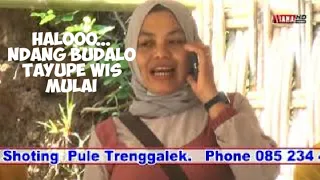 Download Terminal Blitar, Campursari Tayub Tirta Kencana, MP3