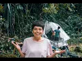 Download Lagu UNTOUCHED JUNGLE \u0026 WILD ORANGUTANS - Leuser national park Sumatra