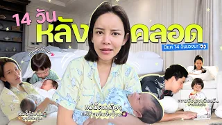 14 วันหลังคลอด…แม่ลูกสองของจริงเพิ่งเริ่ม! บ้านนี้ไม่สงบอีกต่อไป 😂