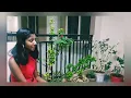 Kashmir | Cover by Aadya | Shreya Ghoshal | Animal | Manan Bharadwaj