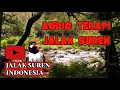 Download Lagu TERAPI JALAK SUREN MACET BUNYI