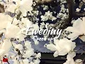Ewediny - [ Speed up ]