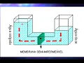 Channel