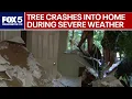 Tree crashes through Maryland home during severe weather