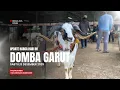 UPDATE HARGA DOMBA GARUT HARI II AABTU 13 DESEMBER 2025 pasar doma Tanjungsari Sumedang 