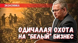 «Белый» бизнес — всегда мишень для непредсказуемой агрессии одичалых